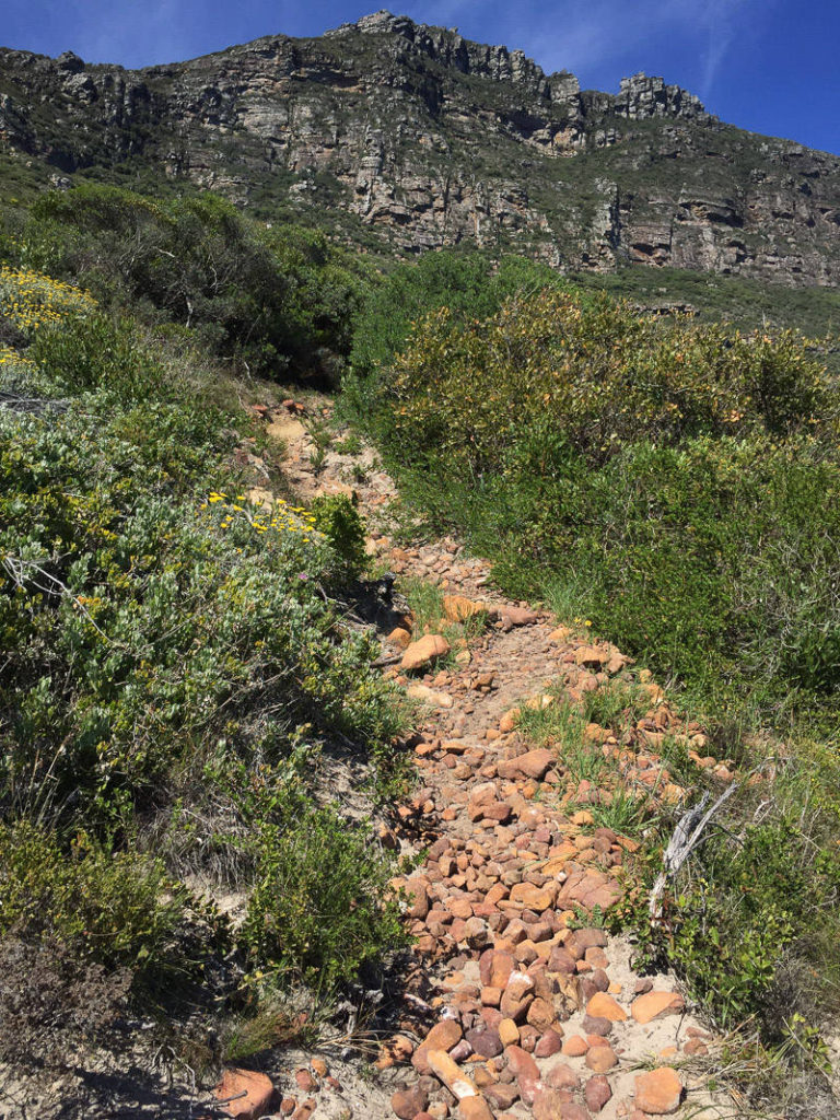 Hike to the Harvest Capella Wreck on Oude Schip Island - FULL ROUTE